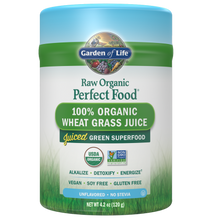 Load image into Gallery viewer, Garden of life RAW Organic Perfect Food 100% Organic Wheat Grass Juice

